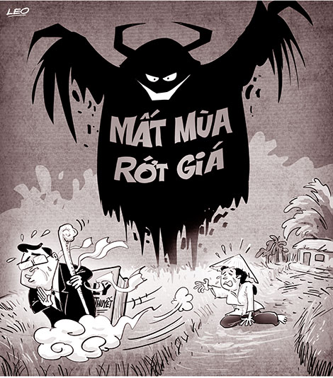 Ai là ông bụt cho dân?