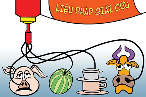 Phỏng vấn con heo