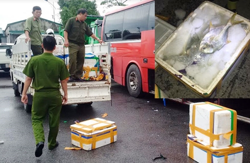 Tiêu hủy gần 1 tấn cá đông lạnh bốc mùi hôi thối