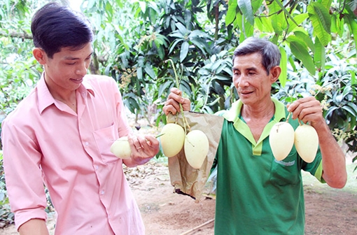 Xây dựng thương hiệu gắn với chất lượng nông sản.