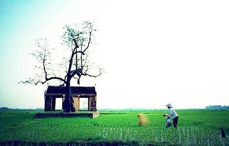 Cảm xúc về những quả trứng