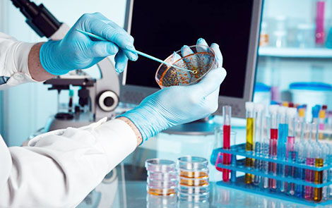 Tình trạng vi khuẩn nhờn thuốc thời đại của kháng sinh đã kết thúc?