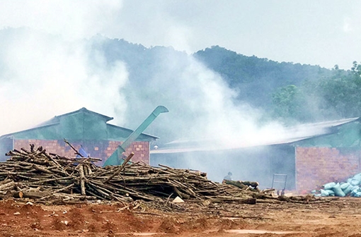 Bức xúc vì xưởng chế biến cau trái phép, gây ô nhiễm môi trường