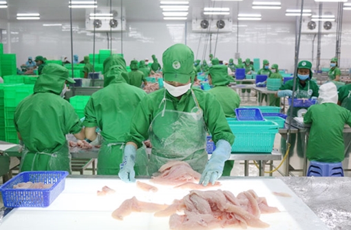 IDI dự kiến đạt lợi nhuận sau thuế 228 tỷ đồng và hoàn thành 130% kế hoạch