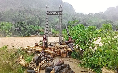 Cao xanh sẽ còn "trả vố" con người