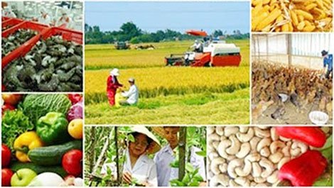 Khởi nghiệp trong lĩnh vực nông nghiệp cần vốn, công nghệ và nhân lực