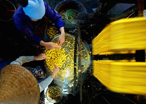 Từ Khaisilk nhìn ra xã hội