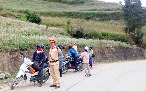 Đảm bảo an toàn Lễ hội hoa Tam giác mạch