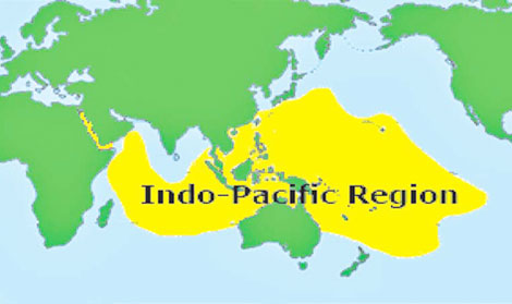 Sẵn sàng “chơi theo luật”