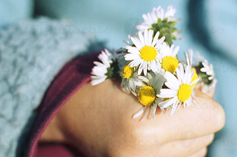 Tản mạn về “tinh thần quý tộc” thời nay