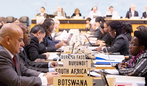 WTO đẩy mạnh xử lý tình trạng bảo hộ thương mại