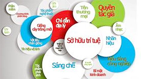 Năm 2017, bắt và xử lý 32 vụ hàng hóa vi phạm sở hữu trí tuệ