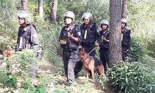 Cảnh khuyển lập công