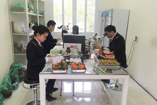 Kiểm soát chặt chất lượng nông sản nhập khẩu ở Tân Thanh