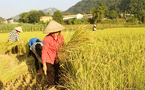  Những người đàn bà ngoại ô
