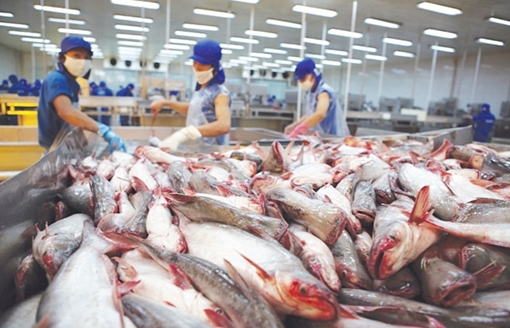 Thủy sản Việt Nam với kỳ vọng xuất khẩu 9 tỷ USD