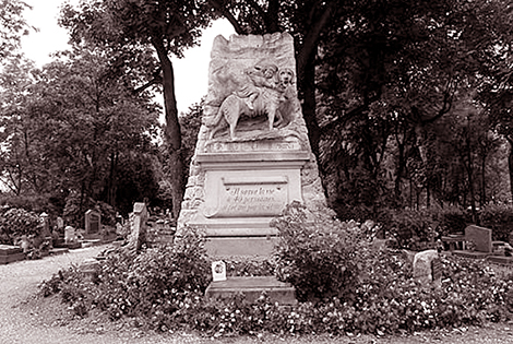 “Cầy tơ” và chó Tây