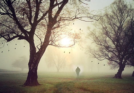 Chúng ta làm gì với sự thất vọng?