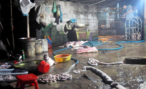 Xử lý hành vi sản xuất thực phẩm bẩn: Nhiều kẽ hở trong luật