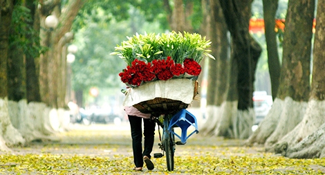 Những con đường sinh sôi