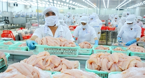 Xuất khẩu cá tra sang EU giảm