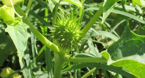 Tôi nợ chồng tôi một kiếp