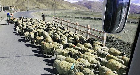  Nếu ánh sáng thiên đường rời xa chúng ta