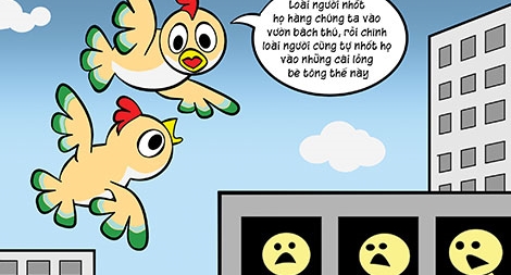 Phỏng vấn búp bê