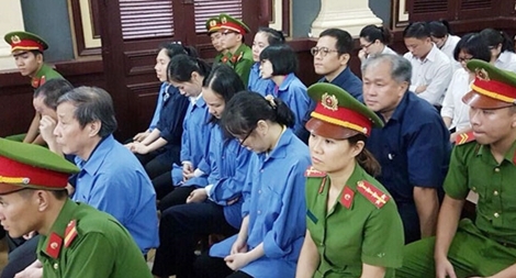 Luật sư bào chữa cho các bị cáo là người giúp việc bà Phấn