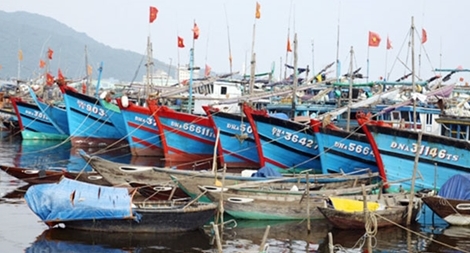 Tháng 1-2019: Tàu cá dài từ 24m trở lên phải lắp đặt thiết bị giám sát hành trình