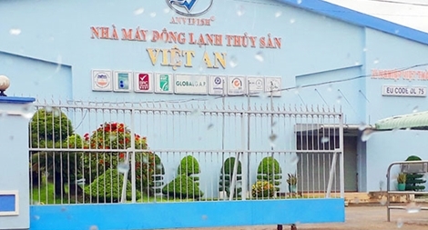 Đại gia “ôm” 1.800 tỷ đồng trốn đi nước ngoài, nông dân nuôi cá tra điêu đứng