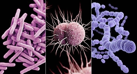 Cơn ác mộng kháng kháng sinh: Kẻ sát nhân thầm lặng