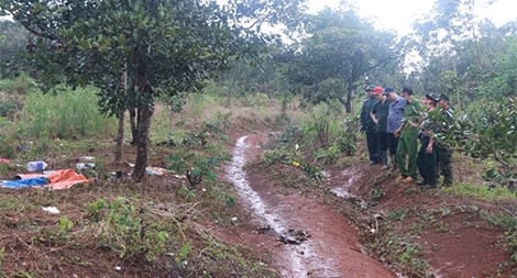 Bản án & thông tin