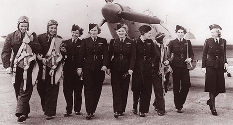  Những bóng hồng trên cánh gió