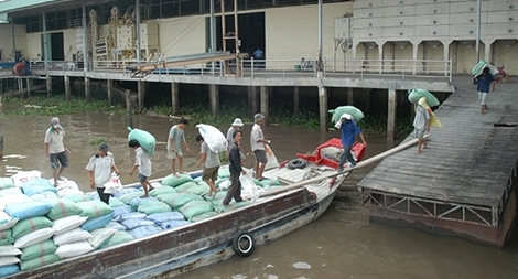 Xuất khẩu gạo, những bước đi vững chắc