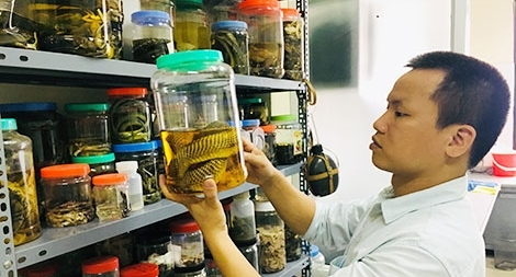 Có một Tiến sĩ "mê rắn"