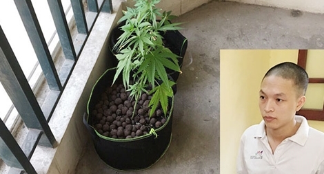 Tăng cường phòng ngừa tội phạm ma túy tại các khu chung cư