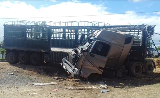 Xe tải “nhổ” cột điện đội lên… đầu!