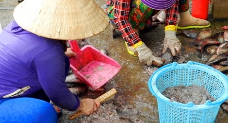 Lại xuất hiện thương lái thu mua “kiểu lạ” ở miền Tây