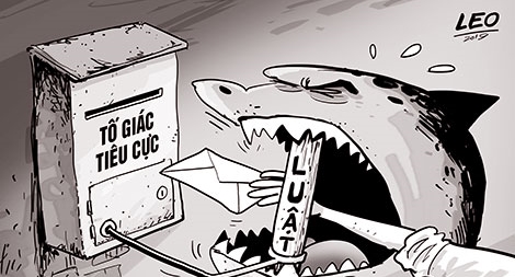 Mấy chuyện vui mừng