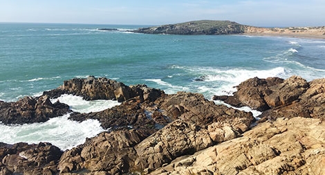 Bên kia bức tường biên giới của Trump