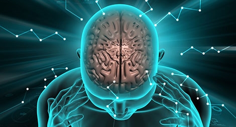 Đi tìm chìa khóa của tham vọng bất tử