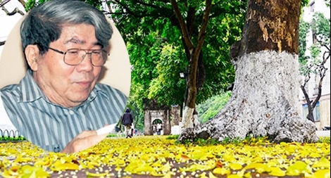 GS-NGND Hà Minh Đức: Đi qua những tháng 5