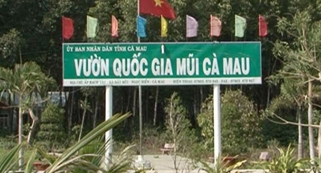 Vườn Quốc gia Mũi Cà Mau lập quỹ trái phép hàng tỉ đồng