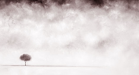 Họ - những vị Bồ Tát khoác áo màu diệp lục...