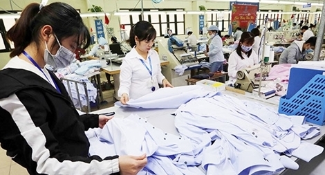 EVFTA: Cơ hội cho nhiều ngành hàng gia tăng xuất khẩu vào EU