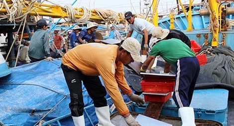 Ngư dân gặp khó khi Cửa Đại bị bồi lấp