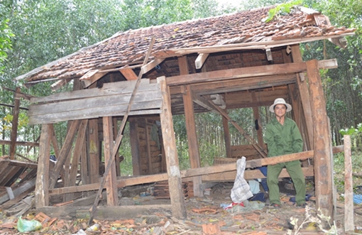 Người dân bất an vì voi rừng xuất hiện... giữa làng