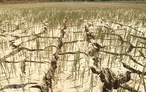 Cảnh báo sớm thiên tai gắn với việc chủ động phòng chống