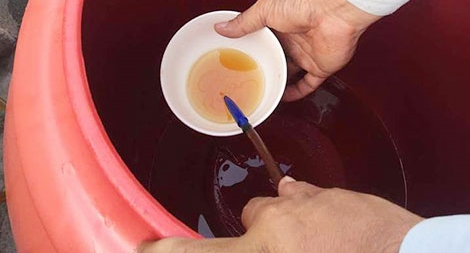 Ngang làng nước mắm, thăm người bạn xưa